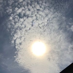 Meet your Posher, Daniella